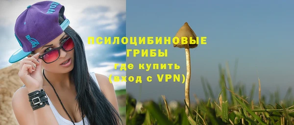 спайс Тавда